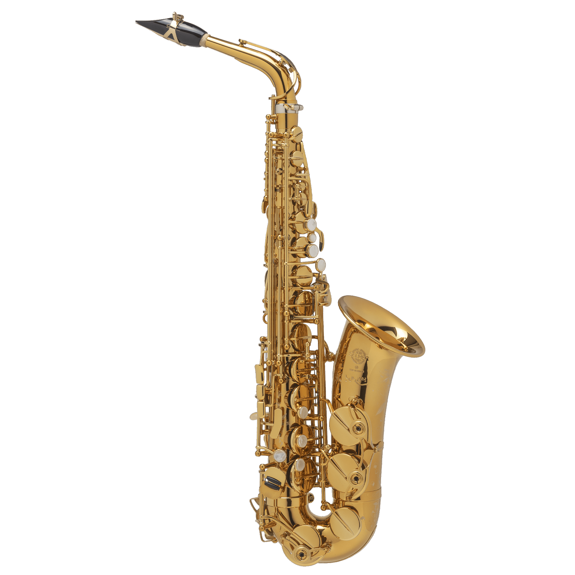 New Version Black Alto/Tenor Saxophone Reed Case 